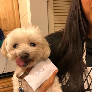 Meet your Posher, Sandra